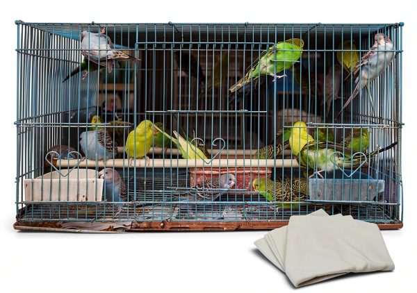 BCOATH Bird Cage Liners Thick Absorbent Pet Supplies-6