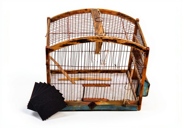 BESPORTBLE Bird Cage Liners Absorbent Bedding Pet Supplies-2