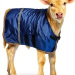 ZRSCHYG Fleece Lined Calf Blanket Waterproof Windproof-0
