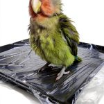 PRFOKEY Bird Cage Liners Disposable Plastic 100-Pack-0