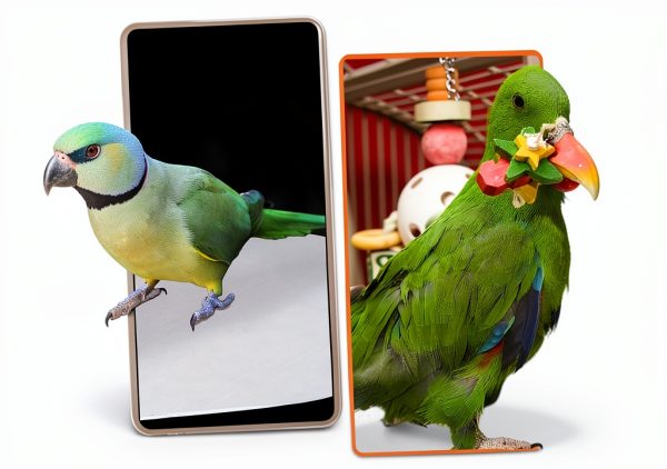 Ibasenice Bird Cage Liners Absorbent Round Pads Pet Supplies-5